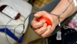 sangue - Cópia